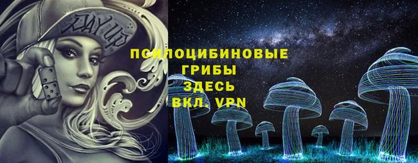 стаф Белоозёрский