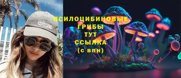 стаф Белоозёрский