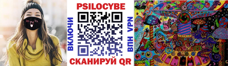 Псилоцибиновые грибы Cubensis  купить закладку  Михайлов 